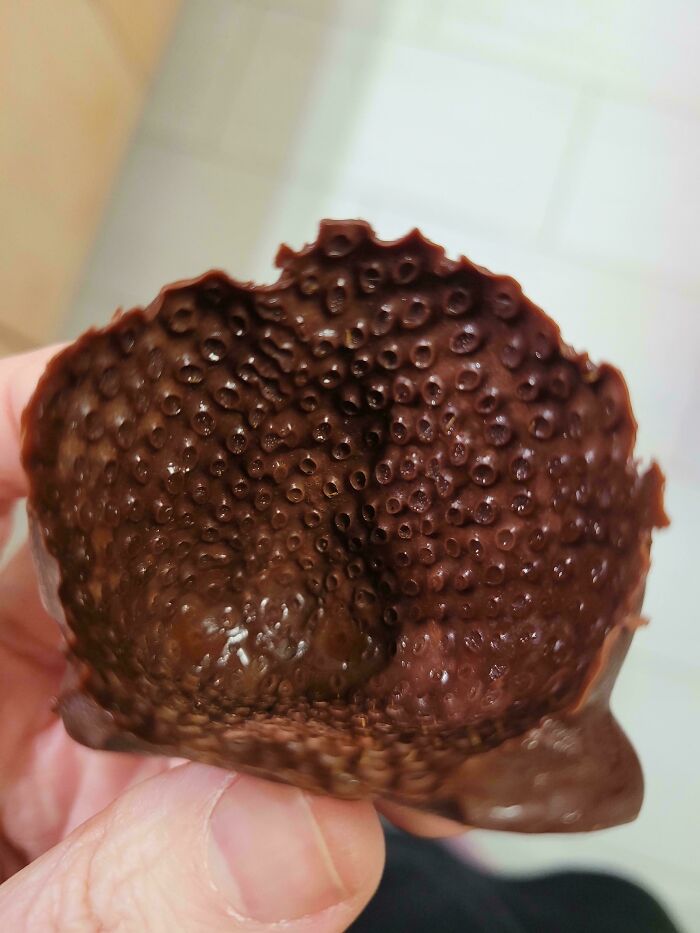 80 Pics That Are Weirdly Uncomfortable Even If You Don’t Suffer From Trypophobia (New Pics)