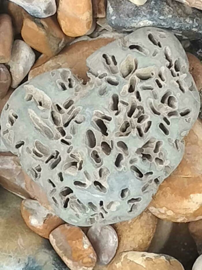 80 Pics That Are Weirdly Uncomfortable Even If You Don’t Suffer From Trypophobia (New Pics)