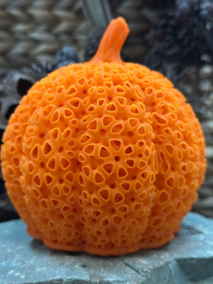 80 Pics That Are Weirdly Uncomfortable Even If You Don’t Suffer From Trypophobia (New Pics)