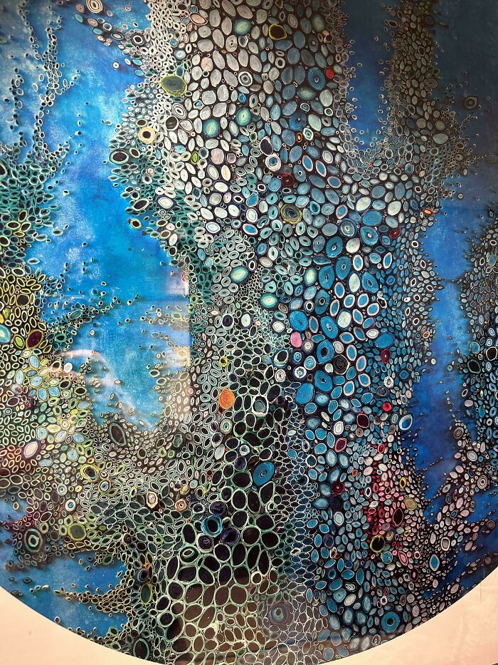 80 Pics That Are Weirdly Uncomfortable Even If You Don’t Suffer From Trypophobia (New Pics)