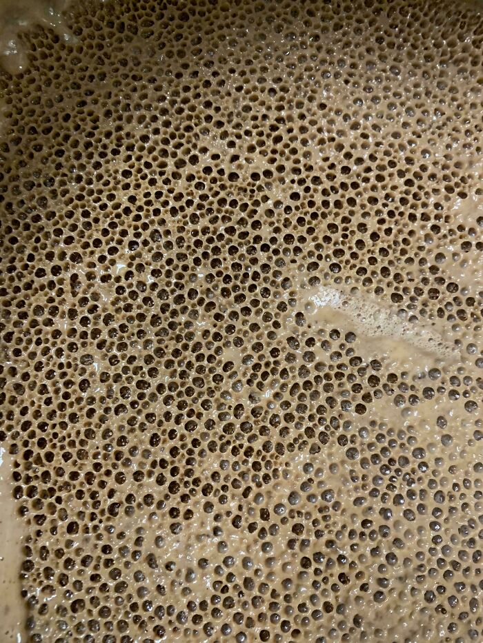 80 Pics That Are Weirdly Uncomfortable Even If You Don’t Suffer From Trypophobia (New Pics)
