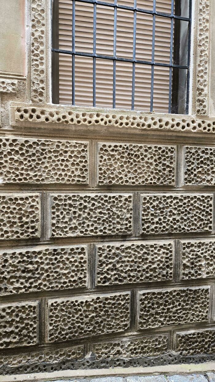 80 Pics That Are Weirdly Uncomfortable Even If You Don’t Suffer From Trypophobia (New Pics)