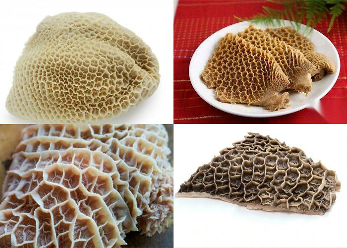 80 Pics That Are Weirdly Uncomfortable Even If You Don’t Suffer From Trypophobia (New Pics)