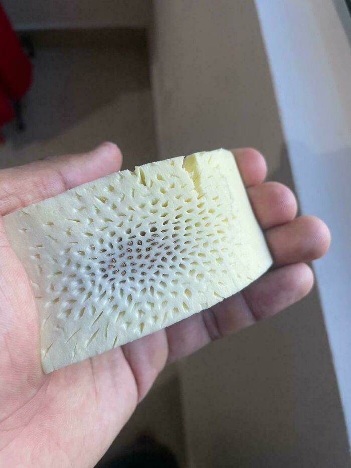 80 Pics That Are Weirdly Uncomfortable Even If You Don’t Suffer From Trypophobia (New Pics)