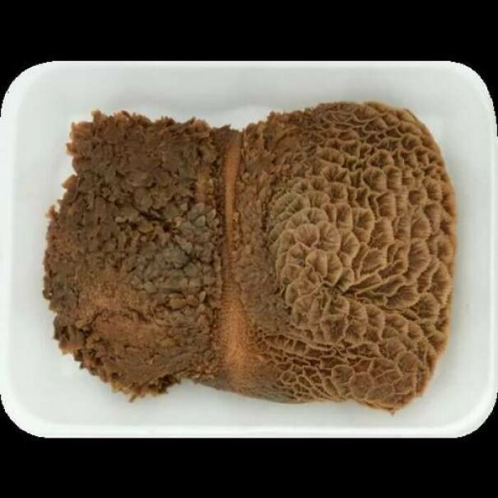 80 Pics That Are Weirdly Uncomfortable Even If You Don’t Suffer From Trypophobia (New Pics)