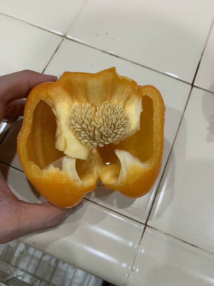 80 Pics That Are Weirdly Uncomfortable Even If You Don’t Suffer From Trypophobia (New Pics)