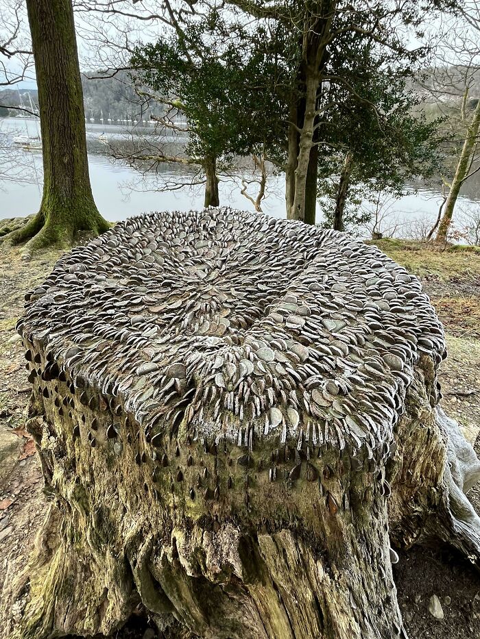 80 Pics That Are Weirdly Uncomfortable Even If You Don’t Suffer From Trypophobia (New Pics)