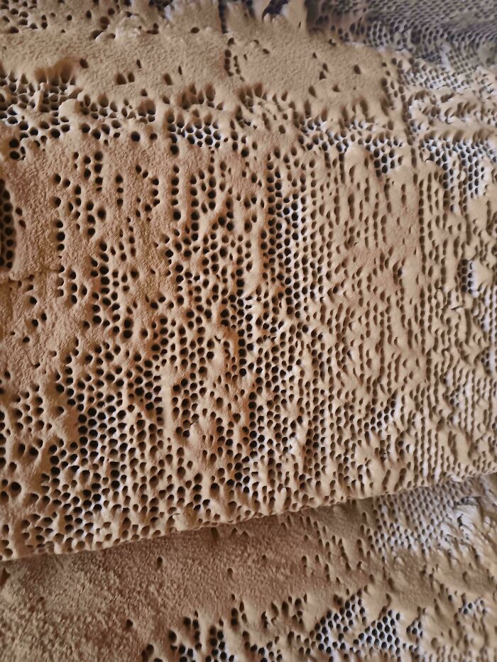 80 Pics That Are Weirdly Uncomfortable Even If You Don’t Suffer From Trypophobia (New Pics)