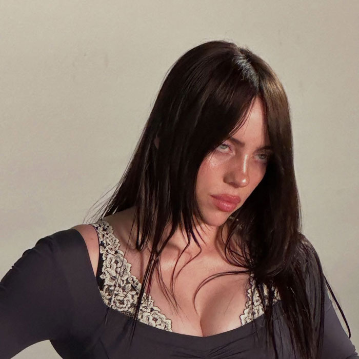 &#8220;That&#8217;s Disgusting&#8221;: Fans Outraged After Man Tries To Snatch Billie Eilish At Miami Concert