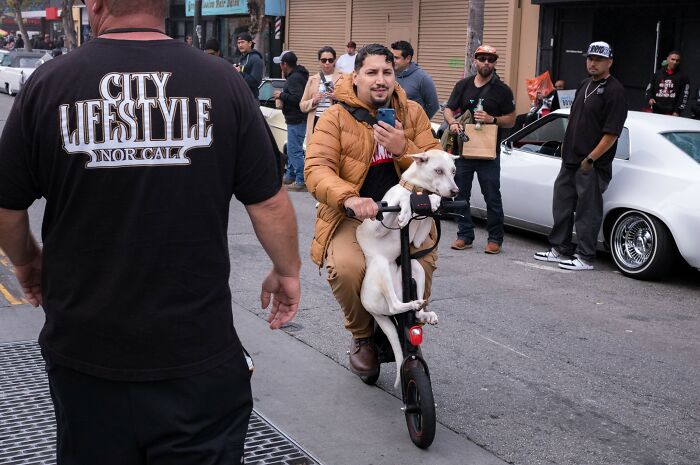 Photographer Shows The Funny, Awkward, And Totally Human Side Of City Life (60 Pics)