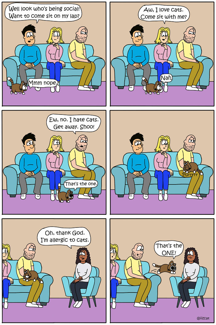 20 Funny New Comics By Nick Filippou That Nail Life With A Cat