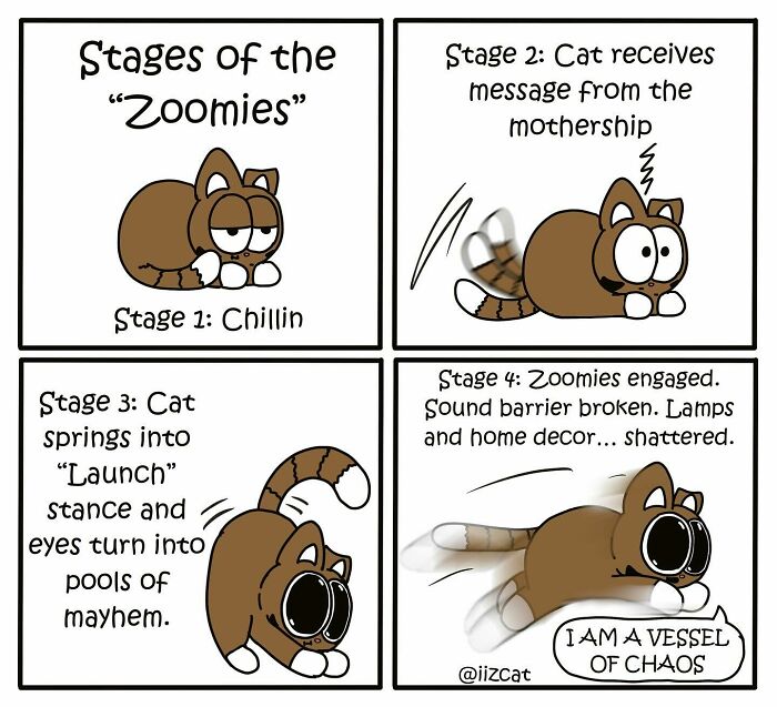 20 Funny New Comics By Nick Filippou That Nail Life With A Cat
