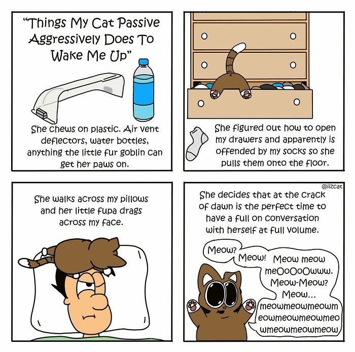 20 Funny New Comics By Nick Filippou That Nail Life With A Cat