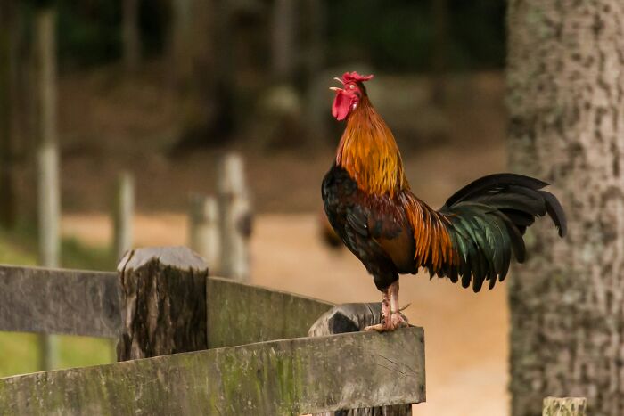 “Made Me Hate This Place”: 80 Neighbors From Hell Who Were Outed For Being Their Awful Selves