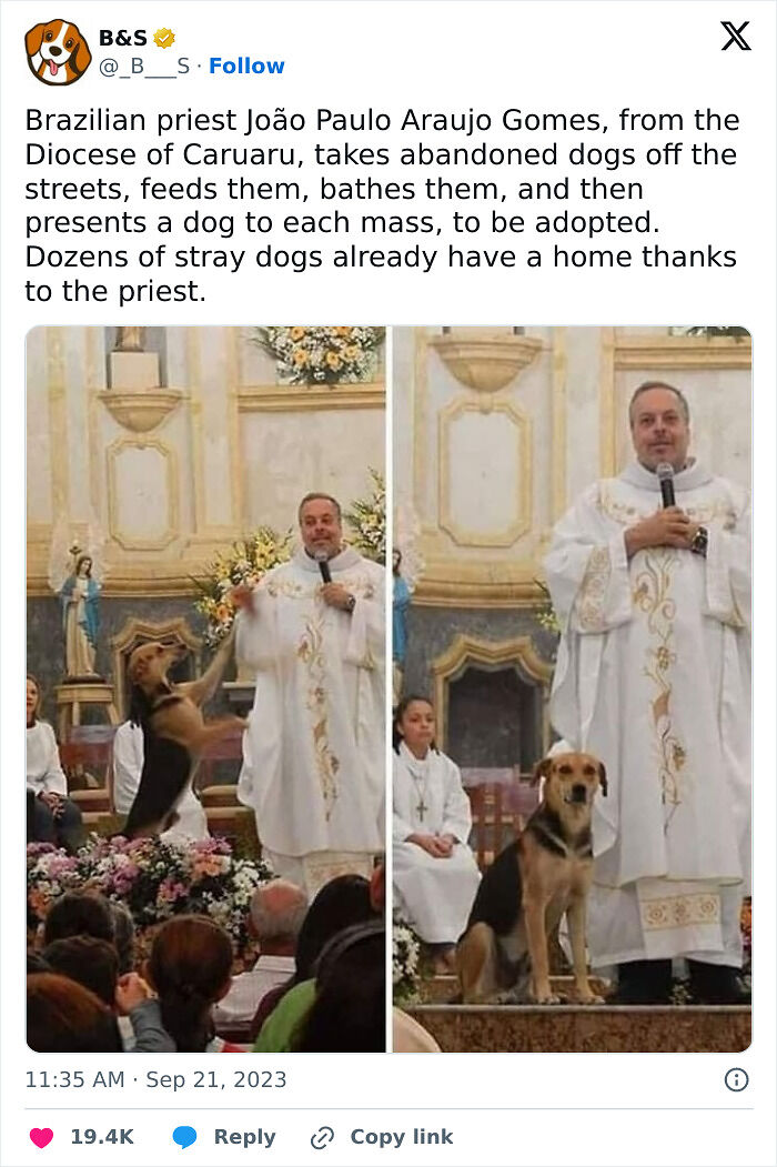 65 Heartwarming Stories That Might Make Your Day Feel A Little Bit Better