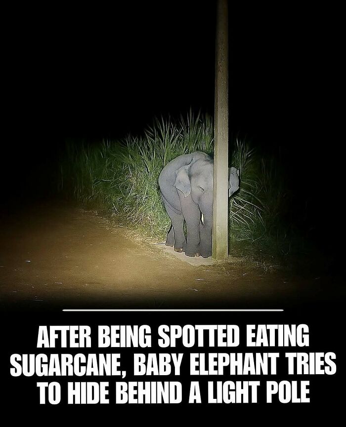 65 Heartwarming Stories That Might Make Your Day Feel A Little Bit Better