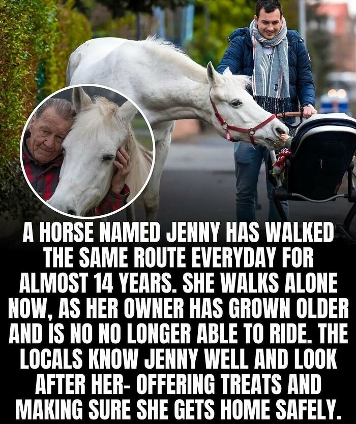 65 Heartwarming Stories That Might Make Your Day Feel A Little Bit Better