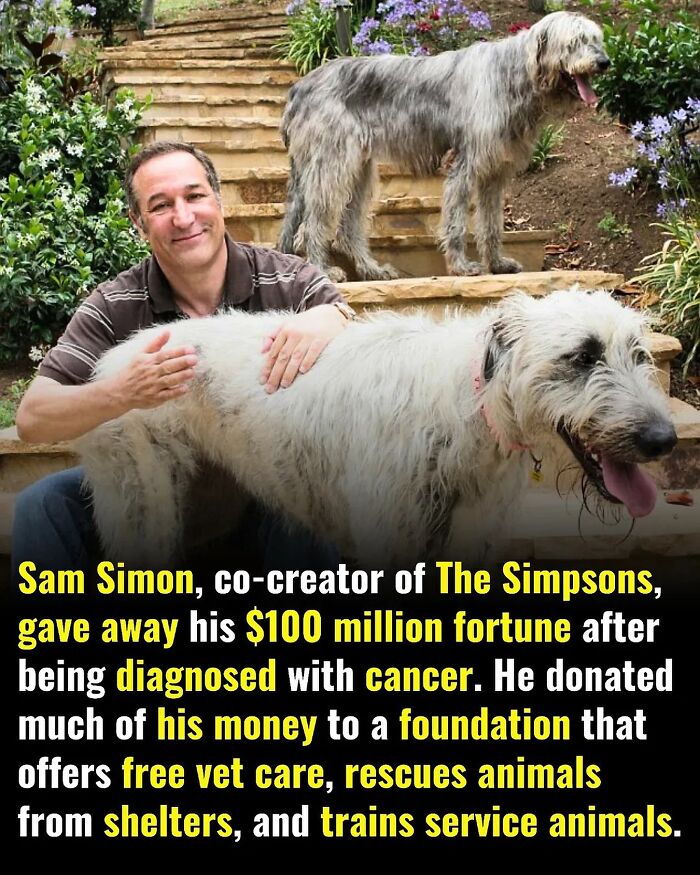 65 Heartwarming Stories That Might Make Your Day Feel A Little Bit Better
