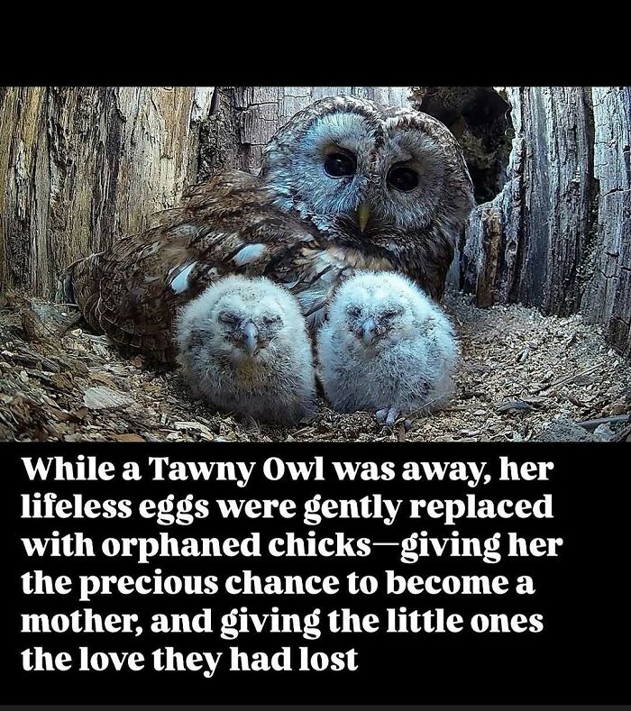 65 Heartwarming Stories That Might Make Your Day Feel A Little Bit Better