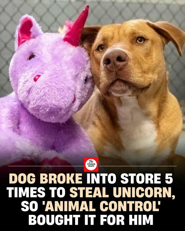 65 Heartwarming Stories That Might Make Your Day Feel A Little Bit Better