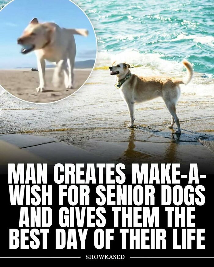 65 Heartwarming Stories That Might Make Your Day Feel A Little Bit Better