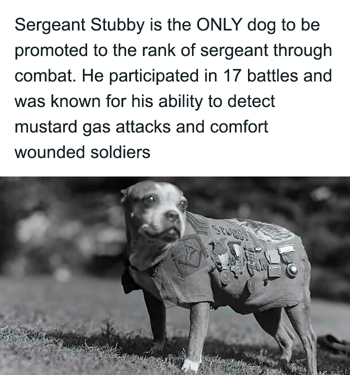 65 Heartwarming Stories That Might Make Your Day Feel A Little Bit Better