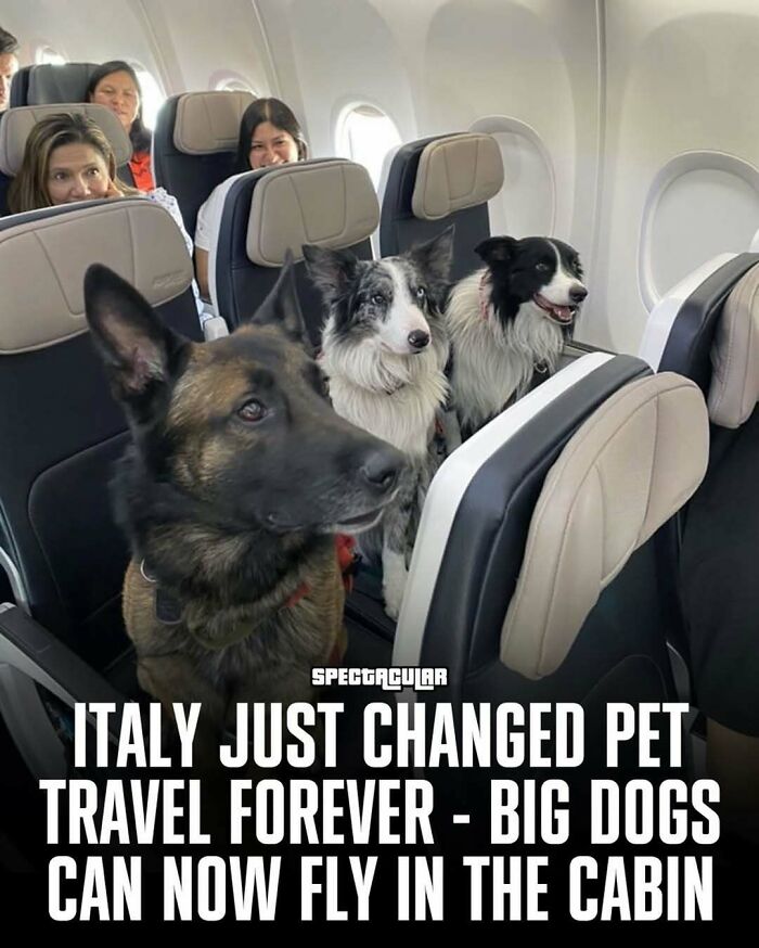 65 Heartwarming Stories That Might Make Your Day Feel A Little Bit Better