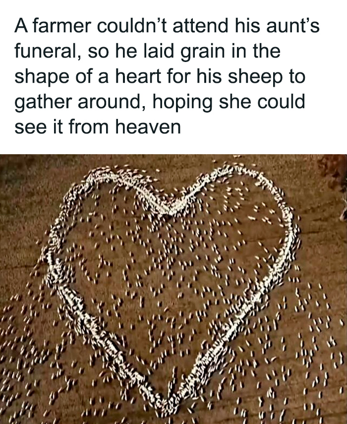 65 Heartwarming Stories That Might Make Your Day Feel A Little Bit Better