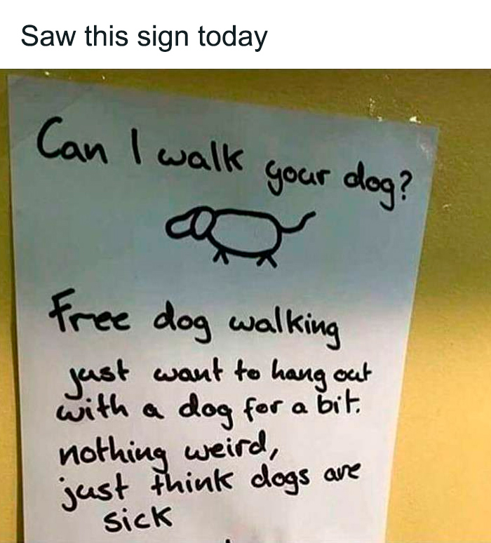 65 Heartwarming Stories That Might Make Your Day Feel A Little Bit Better