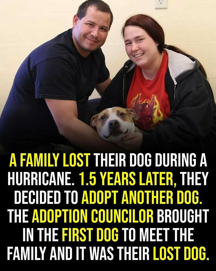 65 Heartwarming Stories That Might Make Your Day Feel A Little Bit Better