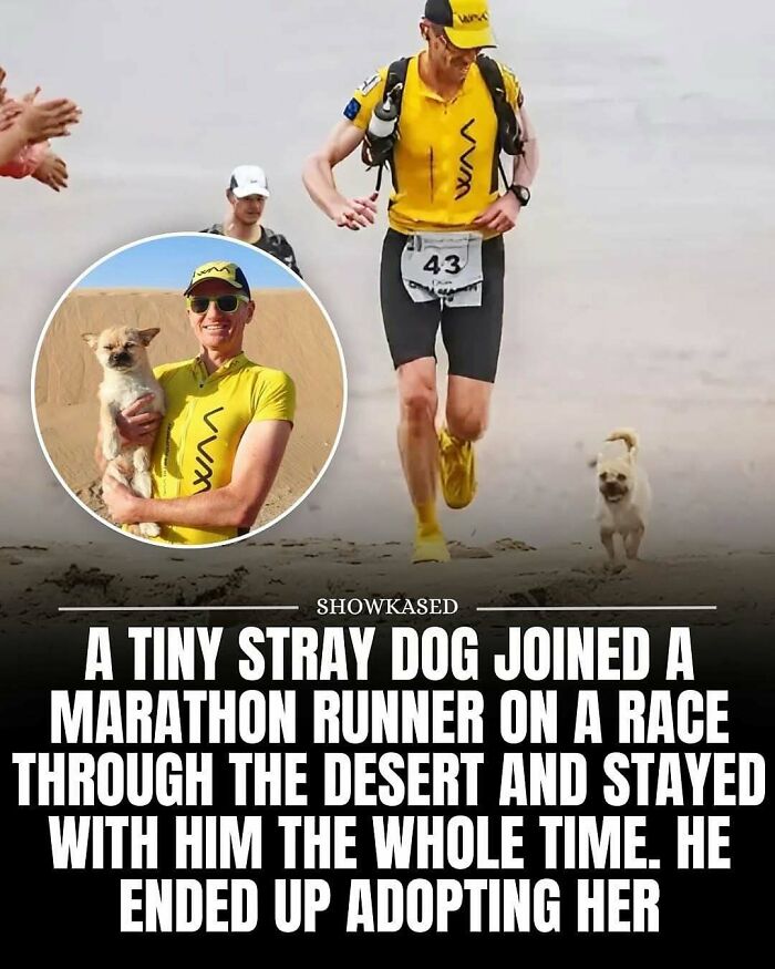 65 Heartwarming Stories That Might Make Your Day Feel A Little Bit Better