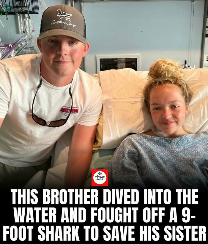 65 Heartwarming Stories That Might Make Your Day Feel A Little Bit Better