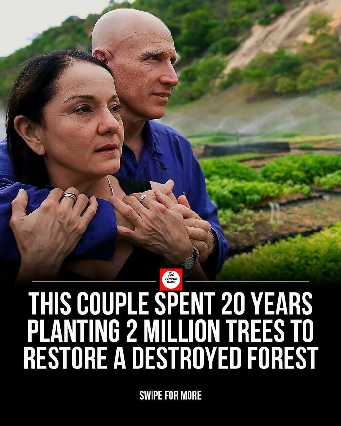 65 Heartwarming Stories That Might Make Your Day Feel A Little Bit Better