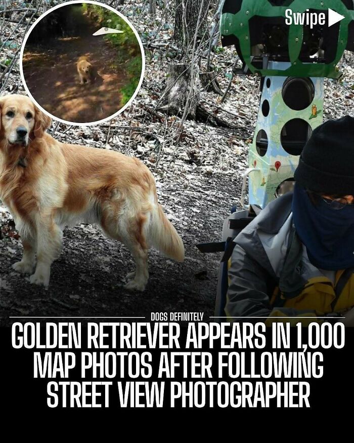 65 Heartwarming Stories That Might Make Your Day Feel A Little Bit Better