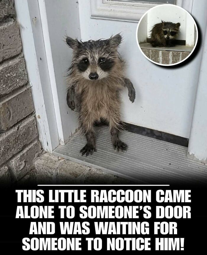 65 Heartwarming Stories That Might Make Your Day Feel A Little Bit Better