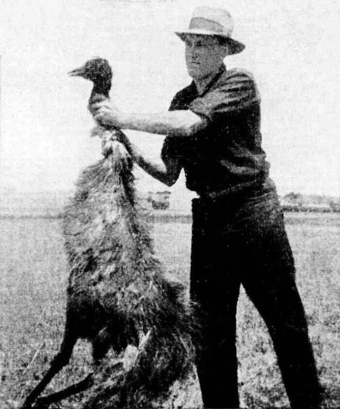 63 Of The Silliest Events That Happened Throughout History
