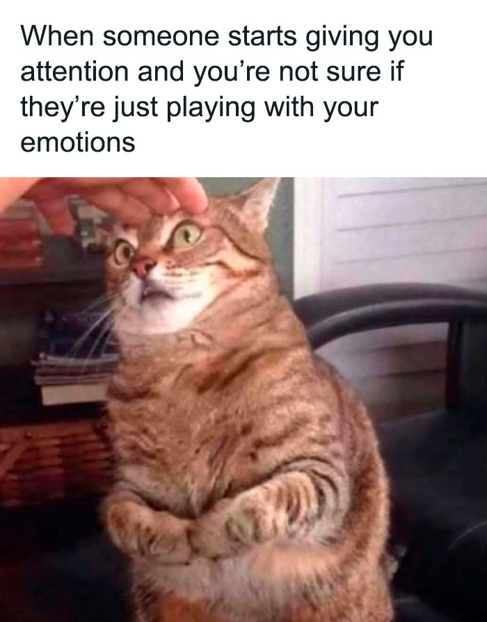 A Day Is Not Complete Without Looking At Memes So Here Are 79 For You To Laugh At