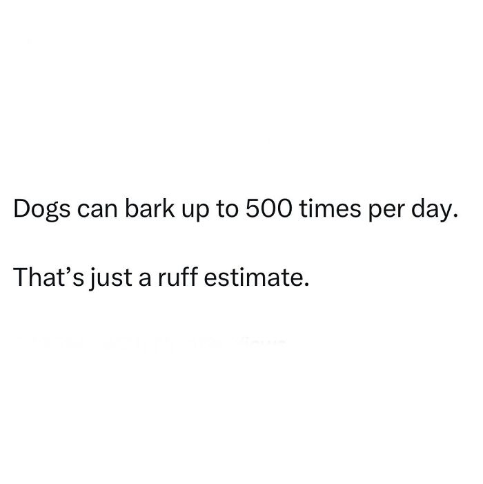 A Day Is Not Complete Without Looking At Memes So Here Are 79 For You To Laugh At