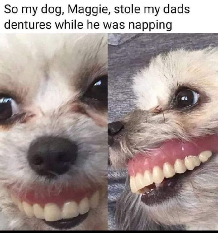 A Day Is Not Complete Without Looking At Memes So Here Are 79 For You To Laugh At