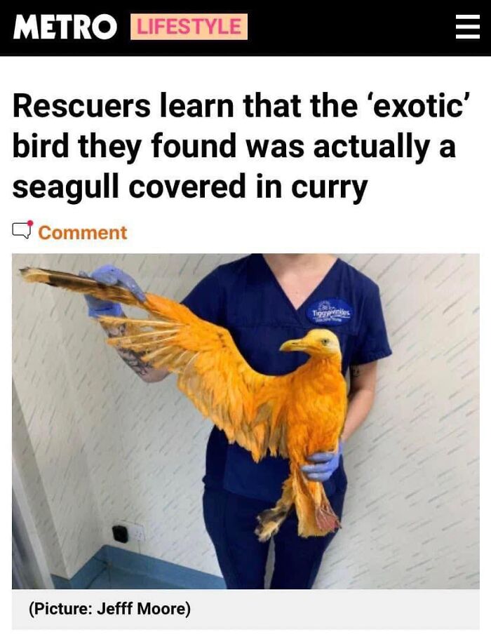 A Day Is Not Complete Without Looking At Memes So Here Are 79 For You To Laugh At