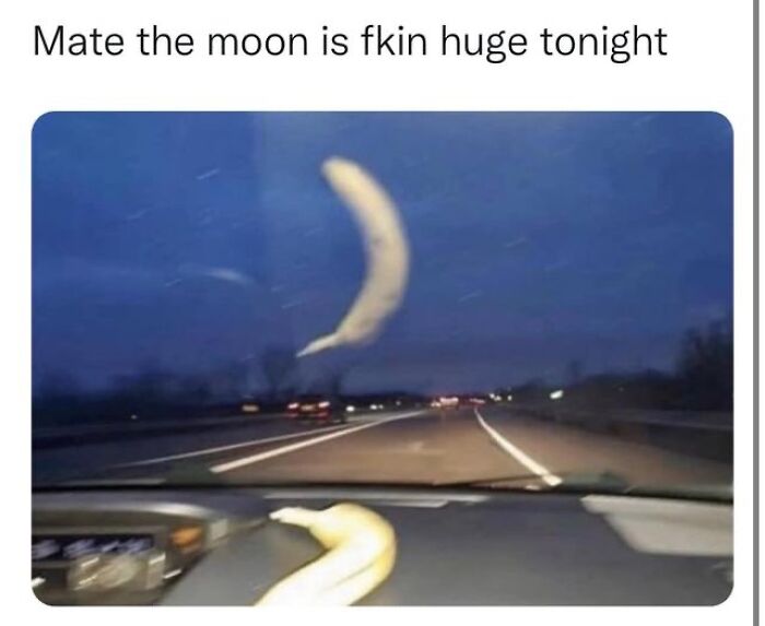A Day Is Not Complete Without Looking At Memes So Here Are 79 For You To Laugh At