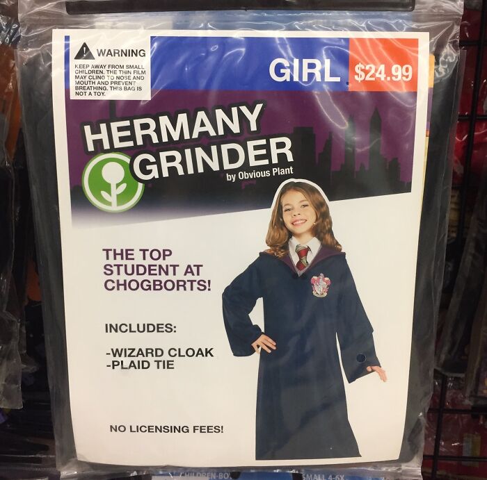 People Are Sharing 71 Of The Funniest Off-Brand Halloween Costumes They’ve Found (New Pics)