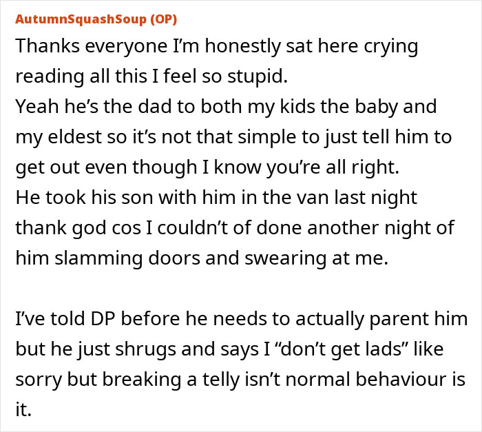 Woman Gets Blamed After Stepson Breaks A TV In A Tantrum, Gets Advised To Leave Them Both