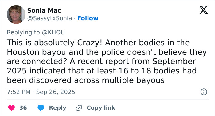 “Something Is Afoot”: Fears Of Serial Criminal Rise As 16th Body Found In Houston, Mayor Issues Update