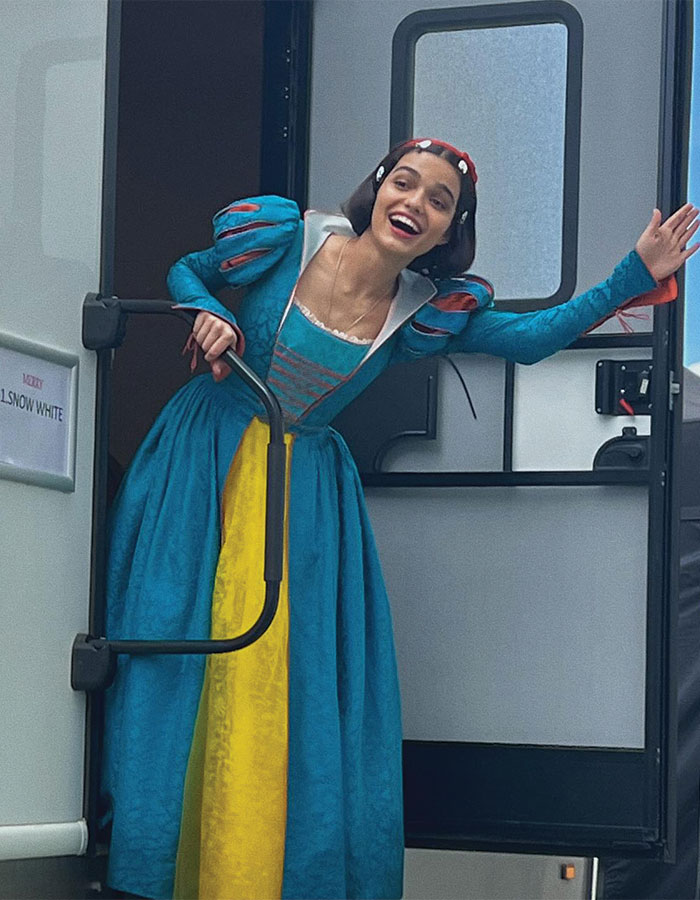 Hilarious Reactions Pour In After Disney Plans To Cast White Actress In Reboot And Ditches DEI