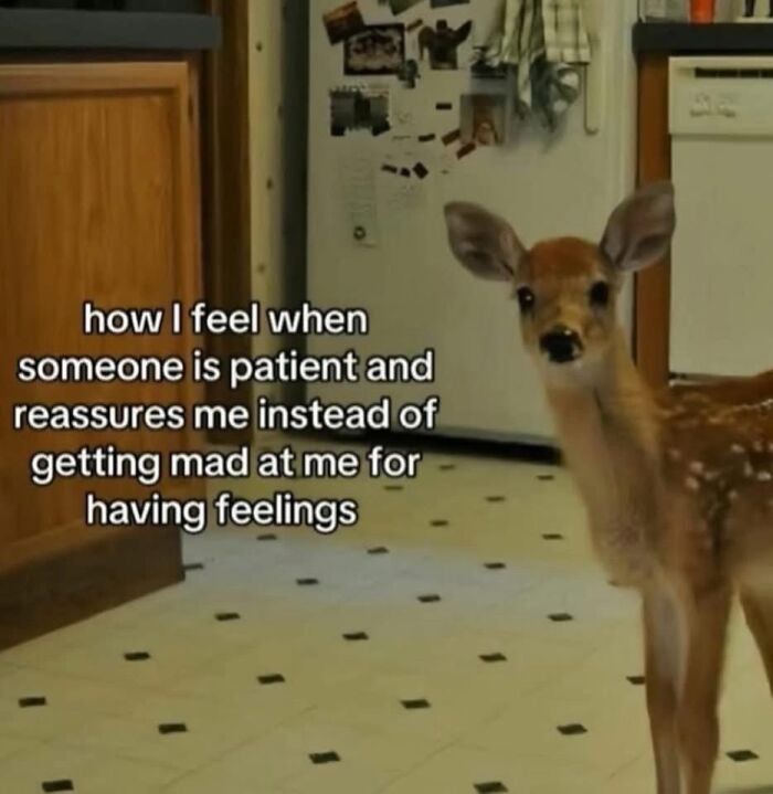 82 Hilariously Relatable Memes To Help You Cope With Anxiety