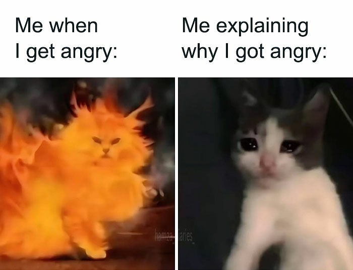 82 Hilariously Relatable Memes To Help You Cope With Anxiety