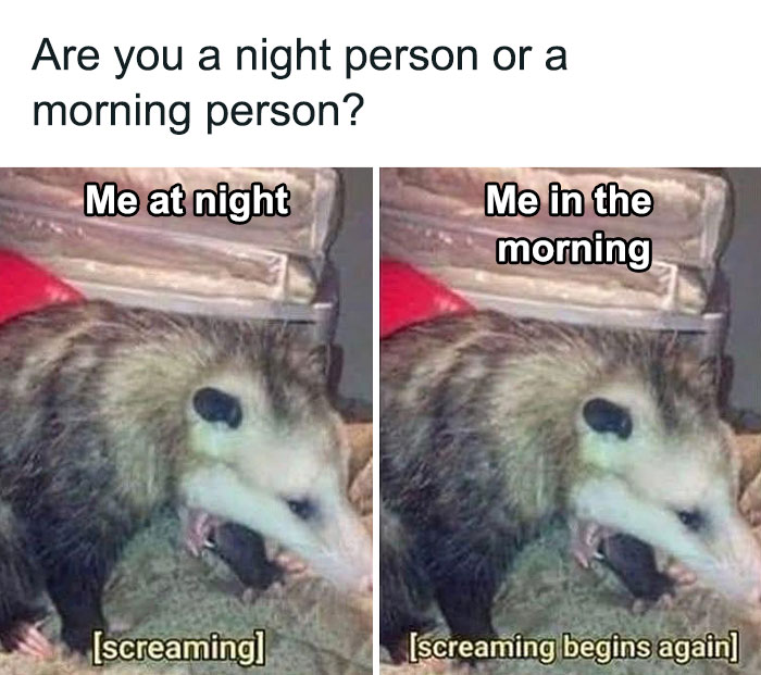 82 Hilariously Relatable Memes To Help You Cope With Anxiety