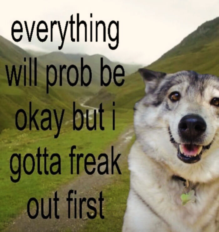 82 Hilariously Relatable Memes To Help You Cope With Anxiety
