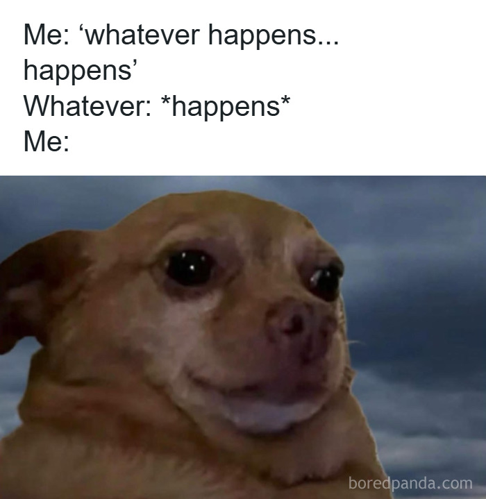 82 Hilariously Relatable Memes To Help You Cope With Anxiety